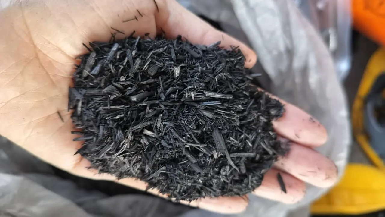 Bamboo biochar sample with carbon-rich structure
