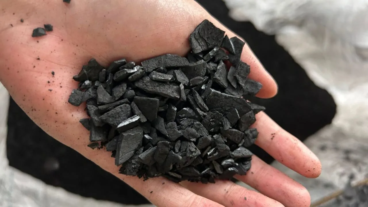 Coconut shell biochar showing texture and quality