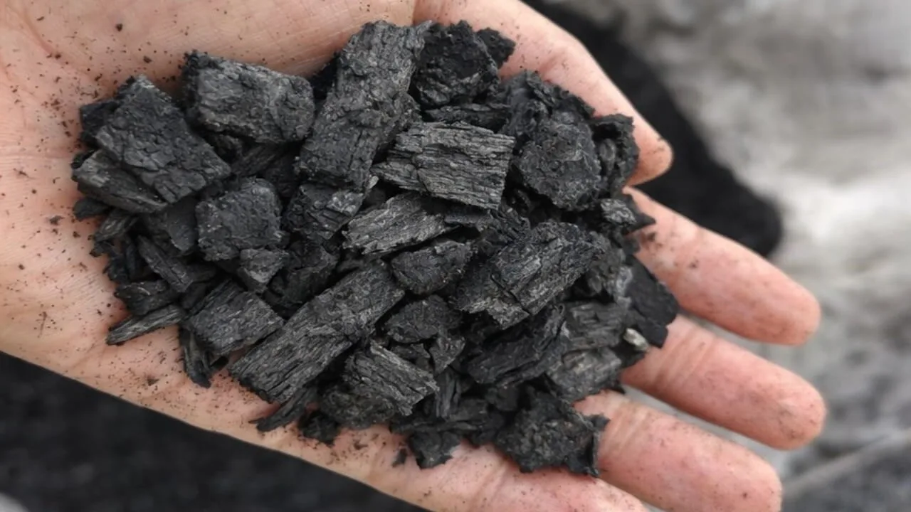 Wood biochar with porous and carbon-dense structure